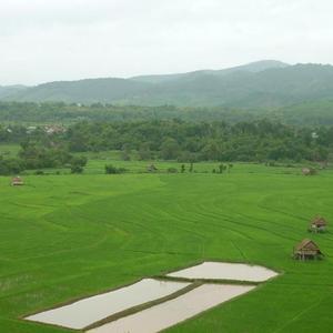 เหงาใจในหงสา - ເຫງົາໃຈໃນຫົງສາ