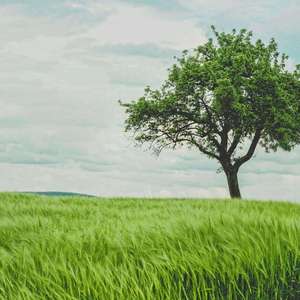 The long time is like a shadow