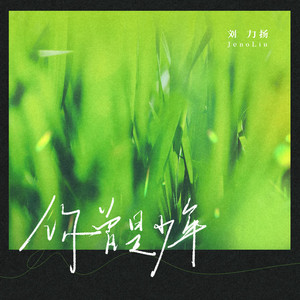 你曾是少年