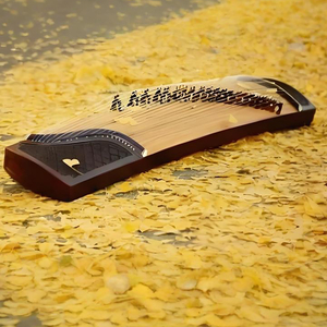 古筝 梅花三弄补肾益肾