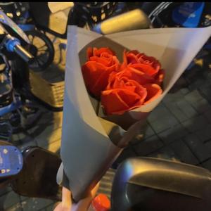 倔强 -是小顾北呀（cover）