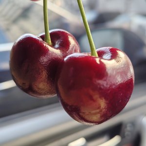 再一再二于无再三