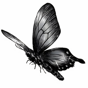 问风（0.8X片段版）