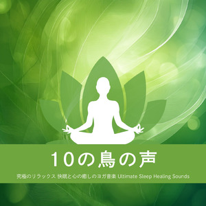 疲れた心と身体を癒す 短時間でも深く眠れる睡眠導入BGM 自律神経にもやさしい (寝落ちのピアノの森)