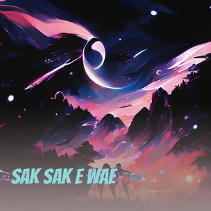 Sak Sak e Wae
