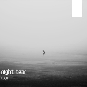 night tears(fl)