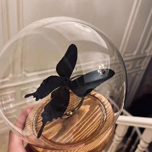 Carly（翻自RiveR)