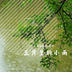 三月里的小雨