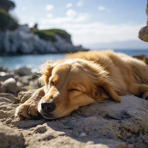 La Serenata De Un Perro Con Gemidos Maravillosos