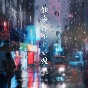 他乡容不下灵魂 (DJ Eva版)