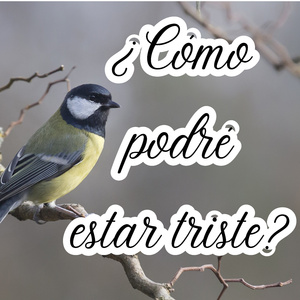 ¿Cómo podré estar triste?