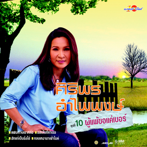 แฟนเก่า บ่ เซาหล่อ