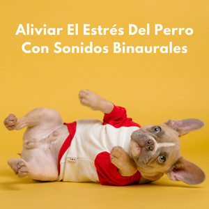 Ritual De Relajación Del Tiempo De Tratamiento