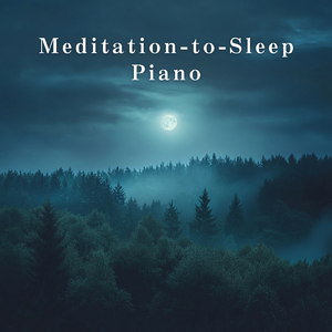 Where Shadows Meet Serenity