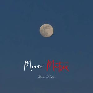 月球矩阵 Moon Matrix