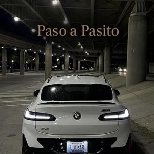 Paso a Pasito