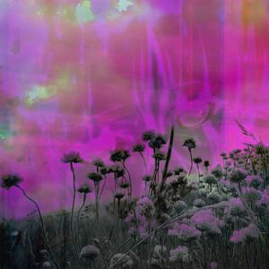 goodnight 2 the ghosts ⊂(´･◡･⊂)∘˚˳°