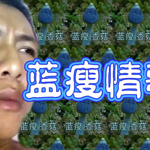 【香菇哥】蓝瘦情歌