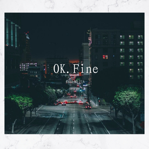 Ok.Fine（Prod.By PUNISHME)