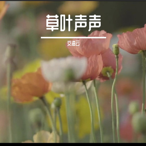 草叶声声
