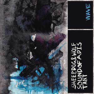 Sound of a Distant Wave