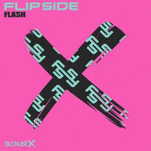 Flipside