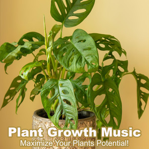 Organic Liquid Fertiliser