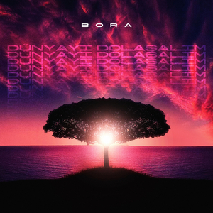 Dünyayı Dolaşalım