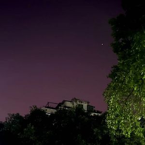 Can You Feel The Love Tonight