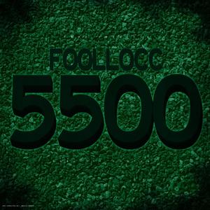 5500 (Young Hoe Diss)