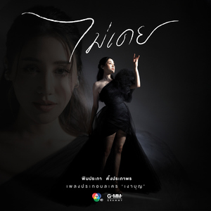 ไม่เคย (เพลงประกอบละคร "เงาบุญ")