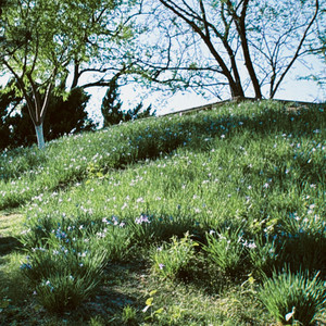 헤어지는 중입니다 (Cover)