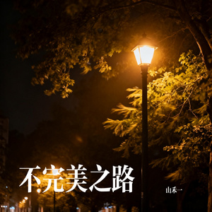 不完美之路