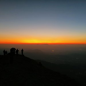 缘分落地生根是我们