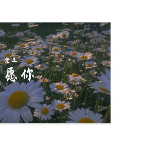 最最（翻自 姚慧）