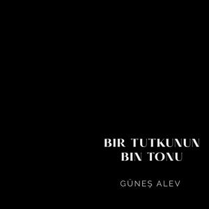 Bir Tutkunun Bin Tonu