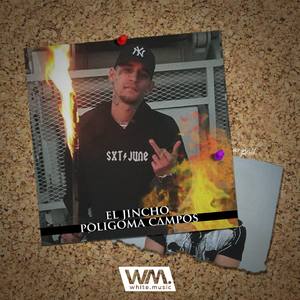 Poligoma Campos