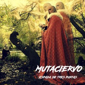 Entraremos en el castillo