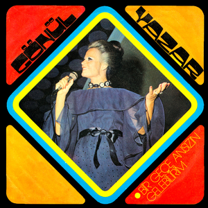 Bir Gece Ansızın Gelebilirim