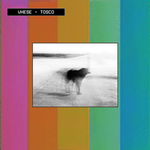 Interludio: VHESE