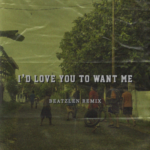 I'D LOVE YOU TO WANT ME (Remix)