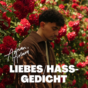 Liebes/Hass-Gedicht