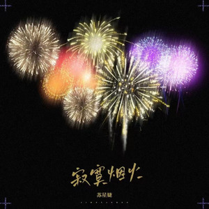 寂寞烟火 (伴奏)