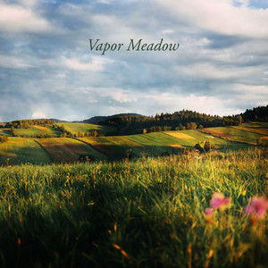 Dependable Searching