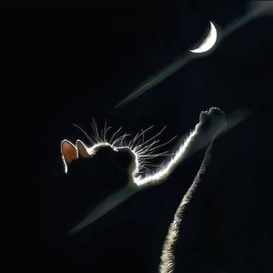 江湖随笔(prod by ROE)