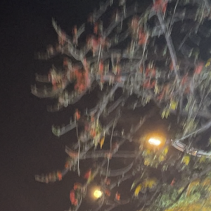 莫名我就喜欢你