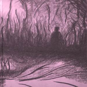 Песьня поля