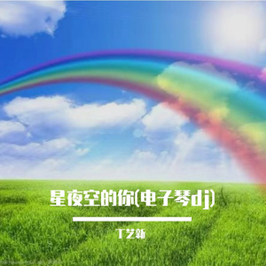 星夜空的你(电子琴dj)