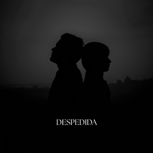 Despedida