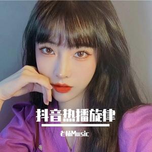 中文电摇-海浪DJ版